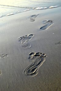 footsteps-390515