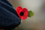 remembrance-day-3811394_1280